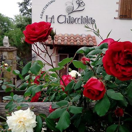 Agriturismo La Chiocciola Поджио-Мурелла Экстерьер фото