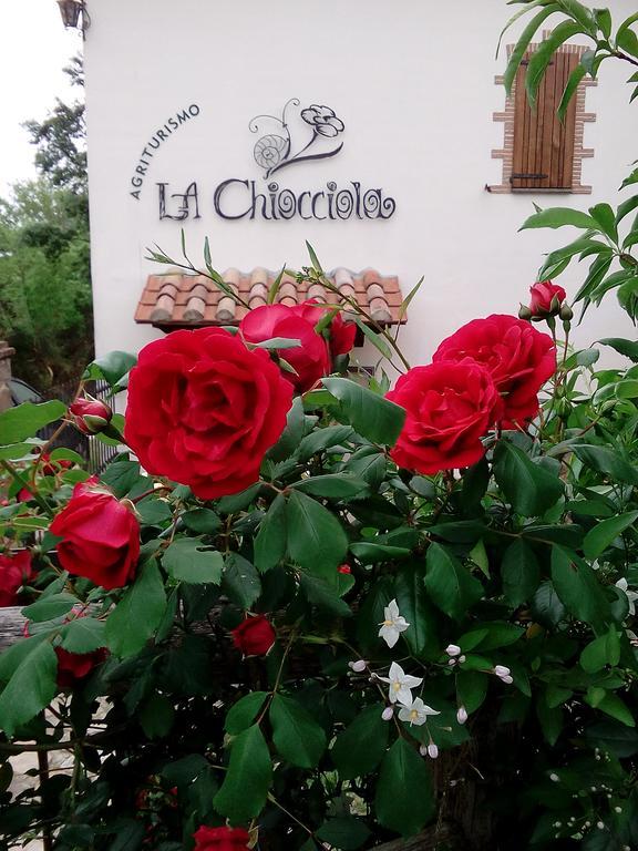 Agriturismo La Chiocciola Поджио-Мурелла Экстерьер фото