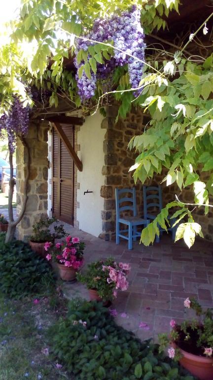 Agriturismo La Chiocciola Поджио-Мурелла Экстерьер фото